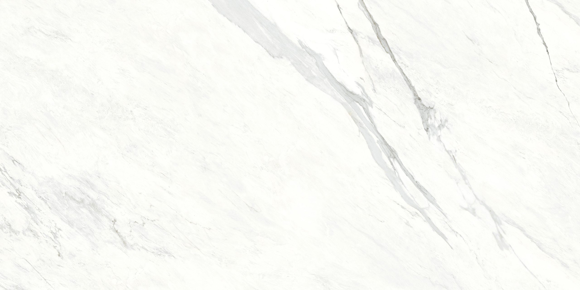 Calacatta White